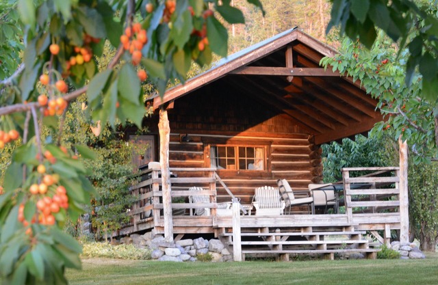 Authentic Montana Log Studio Cabin Overlooking Flathead Lake