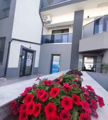 AXI STUDIO - Eforie Nord