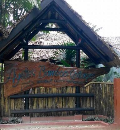 Ayette's Bamboo Cottages