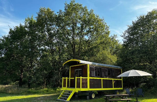 Buttercup trailer