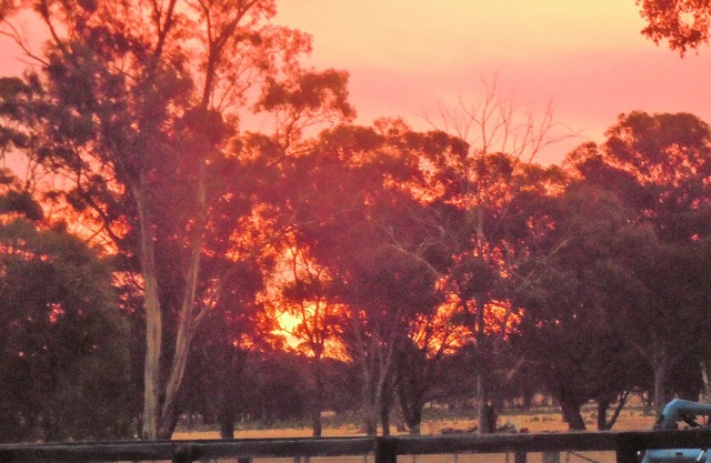 Bailieston Cottage: FarmStay with bush hospitality