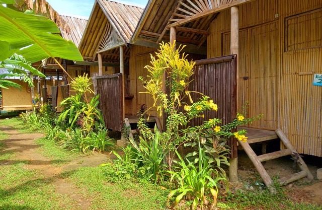 Banana Grove El Nido