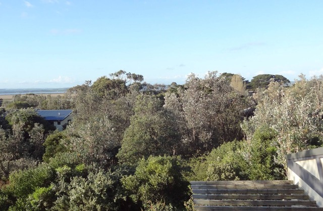 Banksia Outlook.