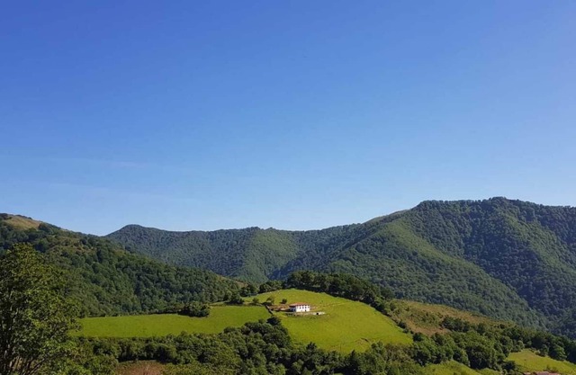 Baserri Rural Experience: maximum comfort in nature.