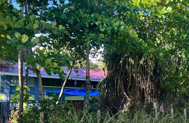 BEACHFRONT HAVEN OFFERS JOYFUL ONE OF A KIND HOLIDAY JUST STEPS FROM THE OCEAN