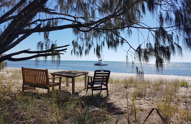 Beachfront pet and wheelchair friendly house
