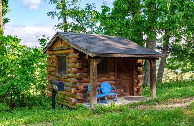 Beautiful 4 Bedroom Log Cabin | Shenandoah Valley (NEW STOVE)