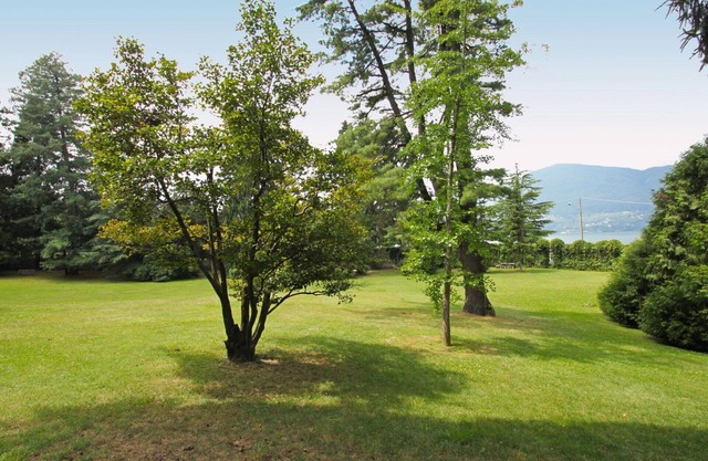 Beautiful apartment for 4 guests with pool, WIFI, TV, balcony and pets allowed