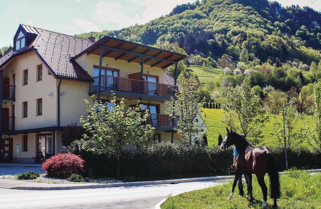 Beautiful apartment in Lasko with WiFi