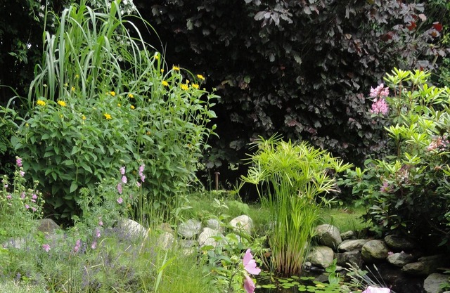 Beautiful garden apartment on Lake Millstatt: dogs & children welcome :-)