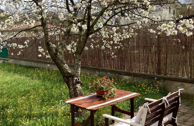 Beautiful house in quiet area within walking distance of the center of Canelli