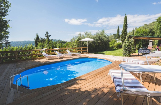 Beautiful house with swimming pool surrounded by greenery, modern, luxury finishes