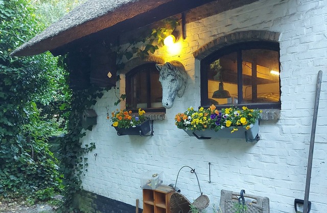 Beautiful old Coachhouse Studio on Organic Nature Domain