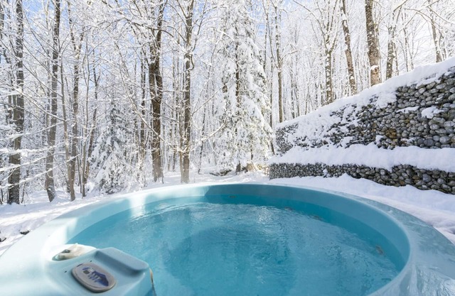BEAUTIFUL SELF CATER CHALET - Sleeps 15 - Hot Tub - Very Competitive Prices!