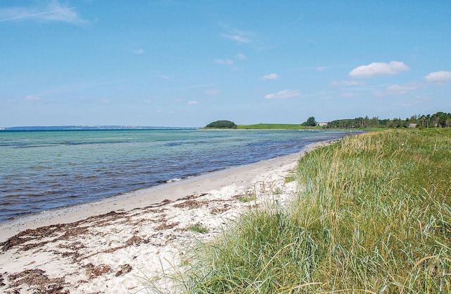 Beautiful vacation home on a well-kept natural plot, only 100 m walk from the child-friendly sandy b