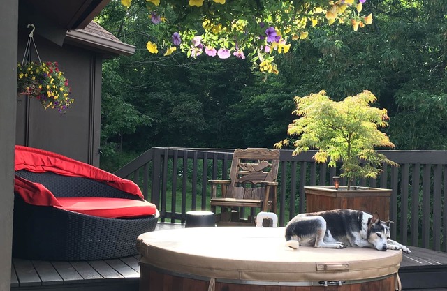 Beautiful woodland home, with cedar hot tub, close to wineries, hiking, lakes