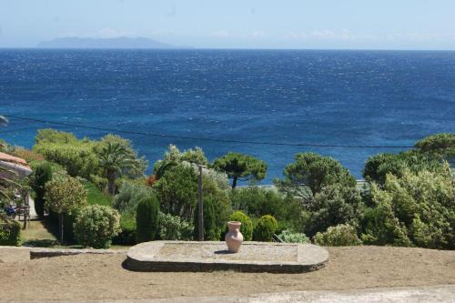 Bel appartement avec vue sur mer - Les Palmiers
