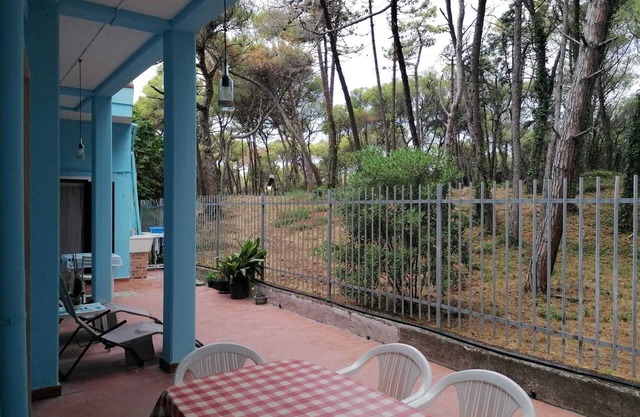Bibbona Summer - Pineta 1