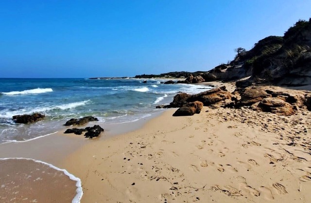 Big villa, 10000 qm nature, 10 minutes by car to the beach, dogs allowed