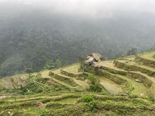 Bikki's jungle homestay