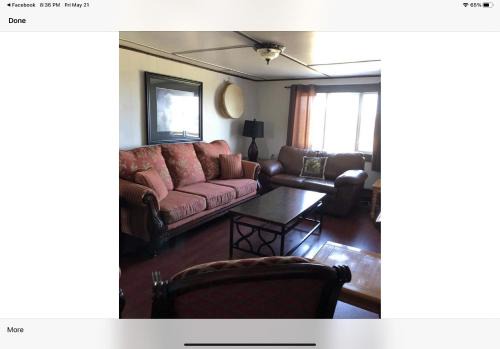 Bird Island Accommodations Elliston