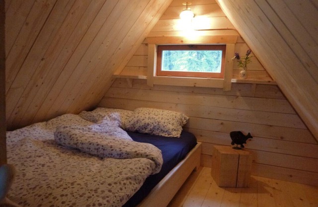 Birdhouse/Off-the-grid Cabin, Marsh Lake, YT