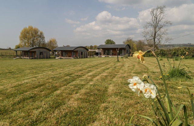 BLUEBELL, pet friendly, with a garden in West Pennard