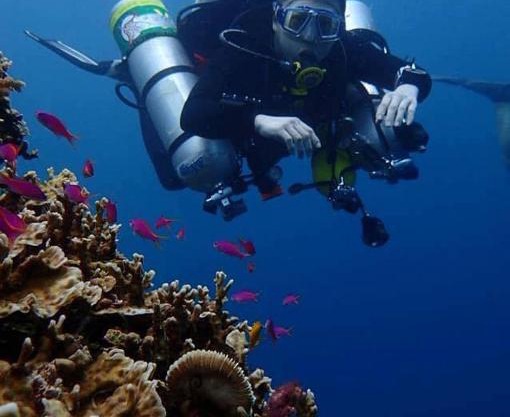 Bohol Panglao Alona Relax Divers Resort