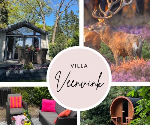 Boshuisje Villa Veenvink met privé sauna
