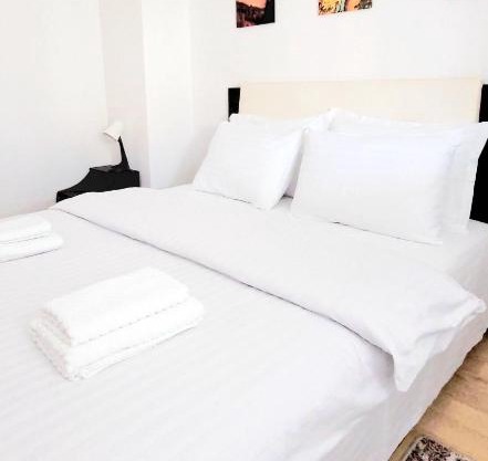 Brancoveanu Apartament's