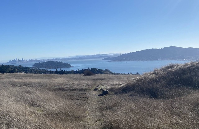 Brand new, 1 bedroom cottage with view of San Francisco Bay.