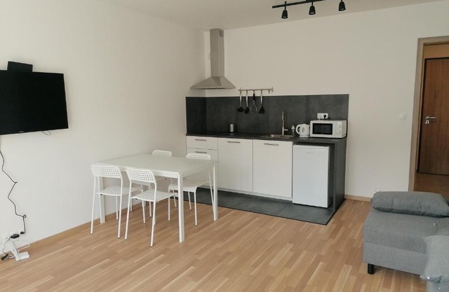 Brand new studio apartment #62 with free secure parking in the center