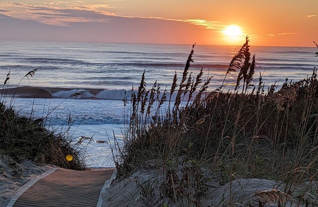Breakers 9 - Oceanfront