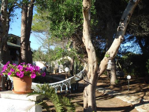 Breezes B&B