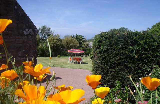 Breton cottage in the heart of the pink granite coast
