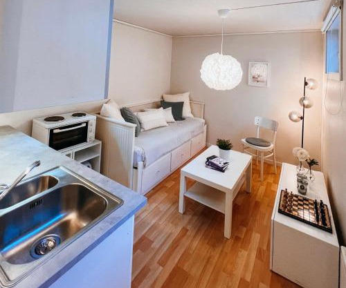 Bright and cozy studio - newly renovated bathroom and free parking