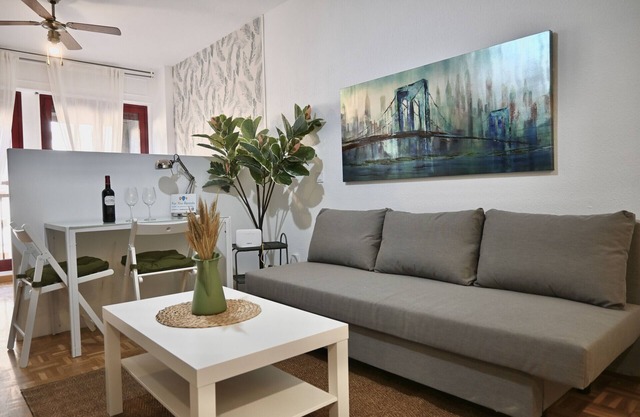 Bright and practical apartment in El Barrio del Pilar