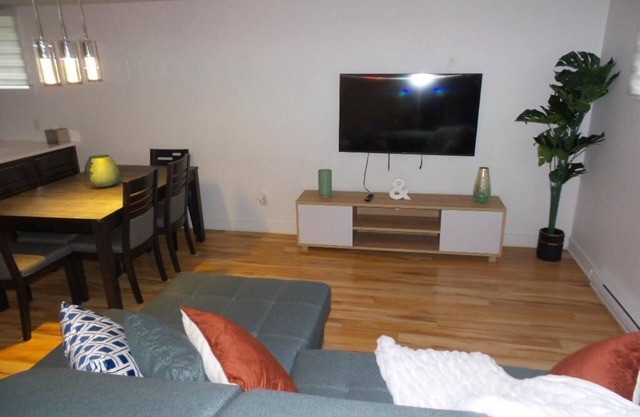 Bright room in a 3 and a half with sofa bed to rent for your stays