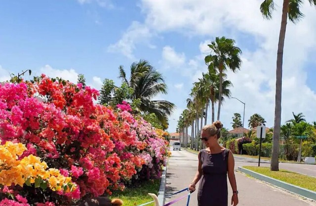 Budget friendly accommodation/Nassau 4 Solo Travelers only. Please read all TKS.