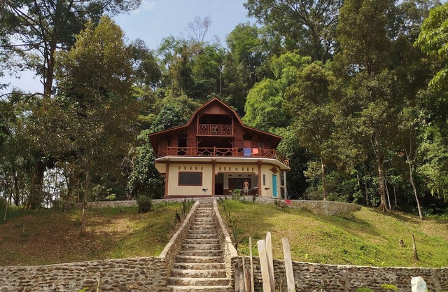 Bukit Lawang Wonderful bed & breakfast Rimba House in Batu Kapal North Sumatra