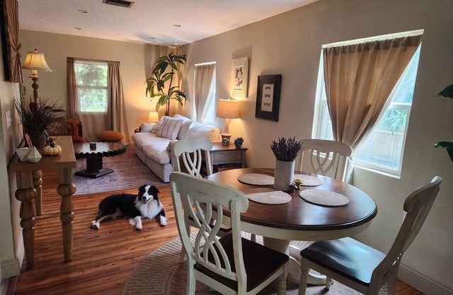 Bungalow on quiet street close to trendy cafes, pubs, and parks. Dogs welcome!