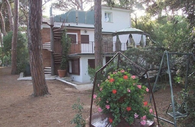 Camelia 2+2 - One Bedroom Apartment, Sleeps 4