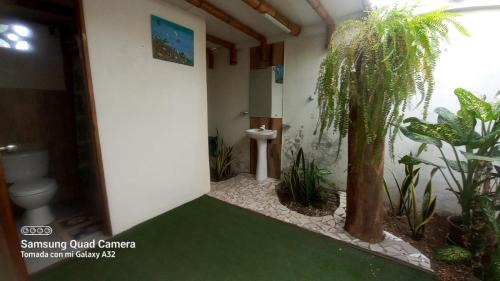Cabaña Riviera Pacific