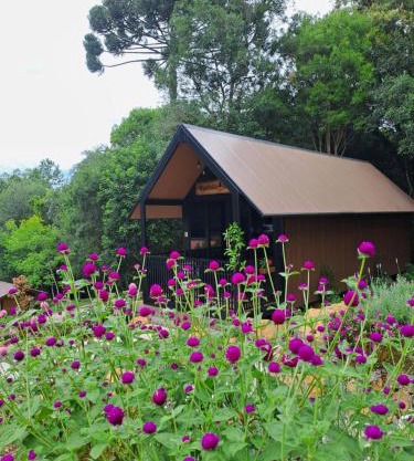 Cabana do Mato Waldhütte