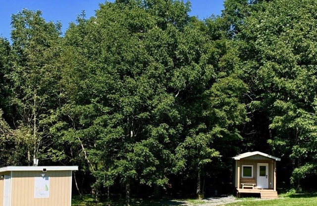 Cabin 2 -Luxury Glamping, Tiny, Cozy, romantic - c/HotTub on Property