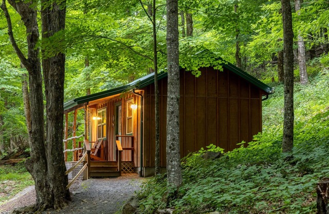 Cabin in the woods w/WIFI. >1 mi to Mon. Forest
