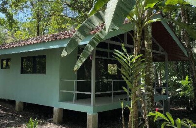 Cabin in tropical lush rainforest