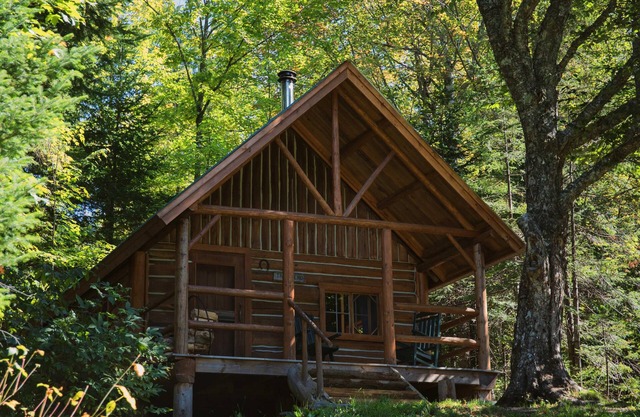 Cabin, Queen and Bunkbed with Shared Bathroom