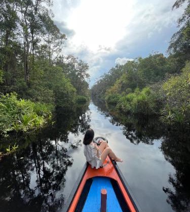 Cakrawala Borneo Tour Tanjung puting