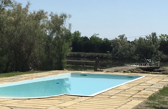 Camargue by the water